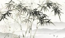 生肖属龙男和生肖属猪女2020年生孩子好吗，会合吗