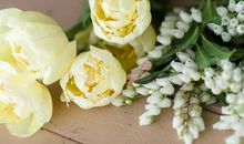 2020年农历八月,九月和十月生肖属龙和生肖属狗订婚黄道吉日