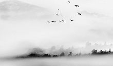 2020年四月出生的鼠宝宝好不好，一生贵人相助，富在身边