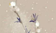 生肖属龙女2020年10月份生小孩好吗，有福气吗