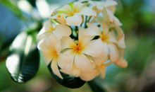 2019猪年出生的姓公仪男孩怎么样起名字 姓公仪男孩好名推荐(图文)