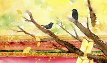 生肖属龙女2020年7月份生小孩好吗，会相合吗