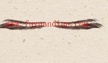 眉毛散乱的人遇事容易慌乱是真的吗