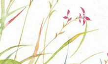 生肖属龙女2020年6月份生小孩好吗，会相合吗