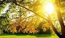 个性沉稳，懂得利弊权衡，不容易为爱迷失的星座