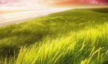 2019猪年出生的冉姓男孩怎么样起名字 姓冉男孩好名推荐(图文)