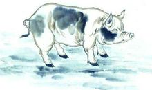 这三对生肖做夫妻，前半生吃苦，后半生数钱！