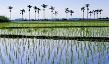 11月下旬有大喜，喜中头彩，3属相财星高照，翻身变富翁