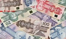 前半生事业不顺，后半生苦尽甘来，坐拥金山银山的生肖