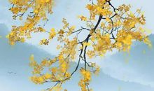 2020年12月19号出生的女孩五行属什么，免费八字取名字