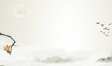 生肖属蛇男和生肖属羊女2020年生宝宝好不好，会合吗