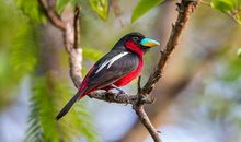 事业飞黄腾达的3属相，最近10天，喜鹊送大喜，赚得盆满钵满