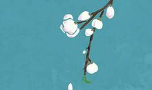 2020鼠年农历八月三十出生的男孩怎么起名字，宜用哪些字