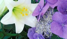 天秤座有哪些不能触碰的红线？