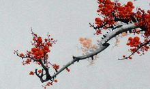 2020鼠年农历七月二十五出生的女孩如何取名字，五行八字好吗