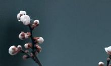 2020年3月11号出生的男孩八字取名字，五行属什么