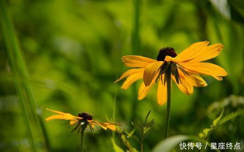 天生善良，懂事孝顺，旺夫又旺家，一家人其乐融融的四大生肖女 2