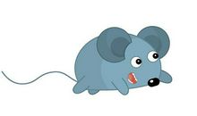 肖鼠人的最新运势