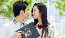 爱情迷惑不了四生肖的理智