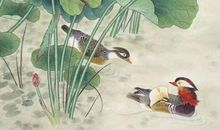 生肖属羊的哪几个月出生最好，七月羊是真正的金羊