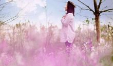 【生肖运程】11月7日，生肖虎、猪这两个生肖要特别注意了