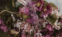 2020年5月和6月生肖属牛和生肖属狗订婚黄道吉日查询