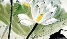 什么时辰出生的属鸡人命运最好，午时出生火克酉却能荣华一生