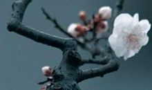 2020年3月12号出生的男孩怎么取名字，五行属什么