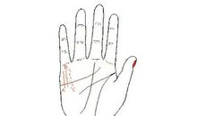 财运线是哪一条?从财运线看你能赚多少钱