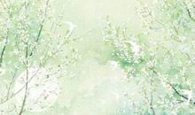 生肖属龙的爸爸和什么生肖属相的小孩是三合，龙与鼠、猴三合