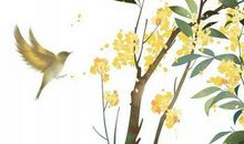 生肖属兔的妈妈和什么生肖属相的孩子是六合，兔和狗六合