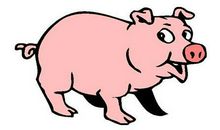 进入十二月，这几个生肖是做啥啥顺利，干啥啥财旺，福气太好了