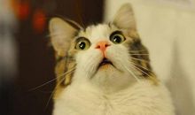 12星座半夜被噩梦吓醒会怎样？