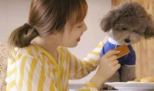 给人幸福感，凡是都愿意退一步的三大星座