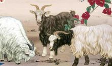 未来几个月，惊喜连连，这3大生肖过上富日子！