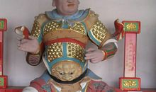 郑伟建博士：2017属鸡本命年（值太岁又刑太岁）