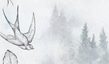 农历2020鼠年大年初一出生的女孩命好吗，要怎么起名