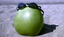 郑伟建博士：2017属鼠为何破太岁又刑太岁？