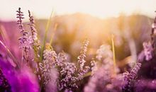 一夜之间变“富翁”！3生肖8号喜、9号吉、10号用麻布袋装大钱，金银滚滚来