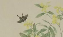 2020年3月16号二月二十三生的女孩是什么命，如何八字起名