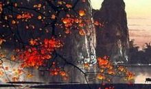 2020年夏至是农历什么时候，夏至养生