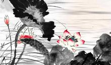 生肖属虎妈妈和什么生肖属相的孩子相冲相害