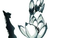 2020年3月13号二月二十生的女孩是什么命，起什么名字有福气