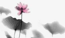 八字配对免费，六合最佳，六合指十天干的合局