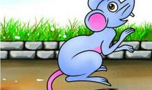 2020年属鼠的人犯太岁吗,今年运势不好怎么化解?