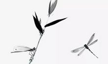 2020年3月15日二月二十二生的男孩命运好吗，取什么名字佳