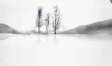 生肖属兔男和生肖属兔女2020年生宝宝好不好，有福气不