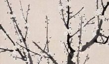 2020鼠年农历九月十三出生的男孩怎么起名字，宜用什么字