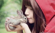 容易喜欢上男友的好哥们的生肖女