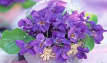 娶人品好的女人，胜过家财万贯，妻子人品好，是家庭最好的风水